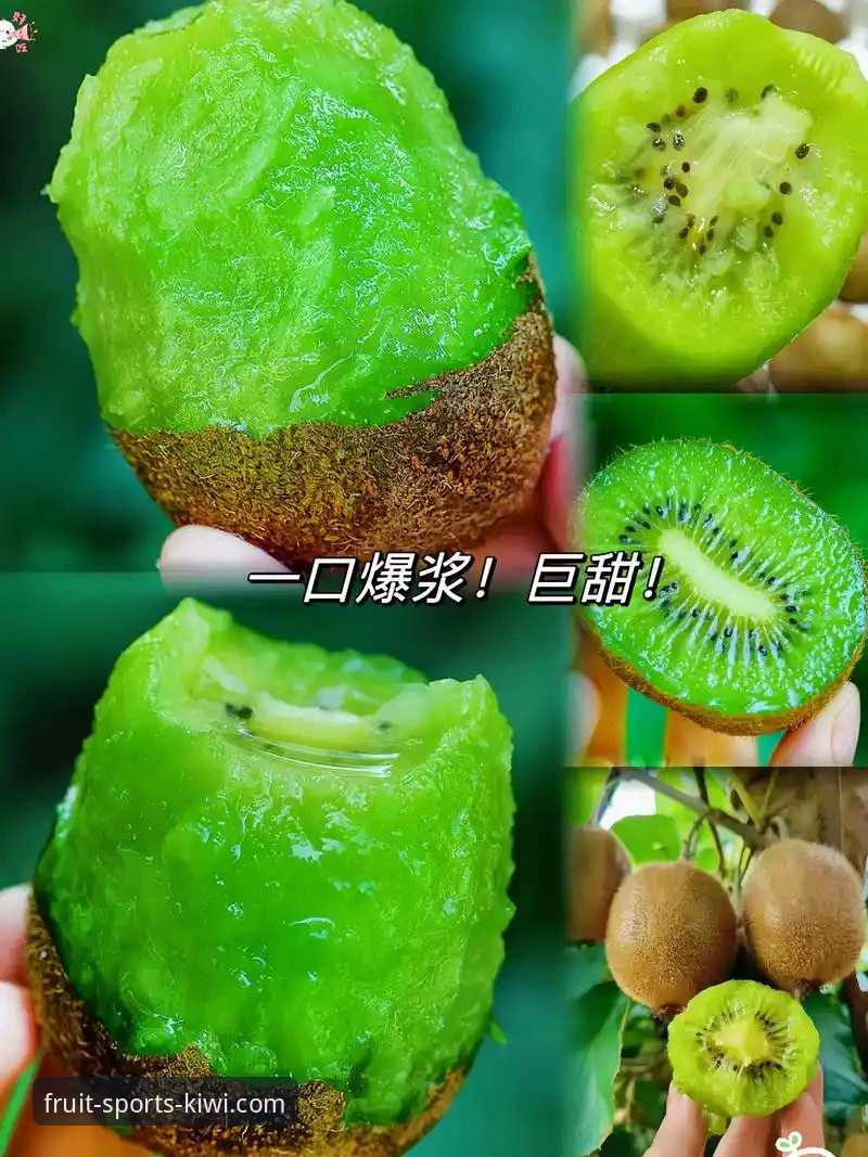 奇异果体育平台下载安装实用指南：从注册到上手只需5分钟